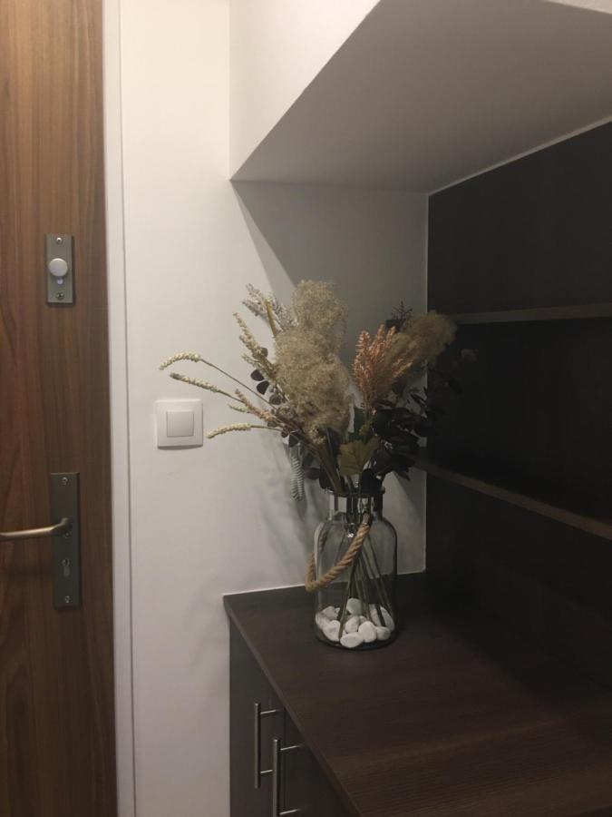 Home Apartment Sopron Extérieur photo